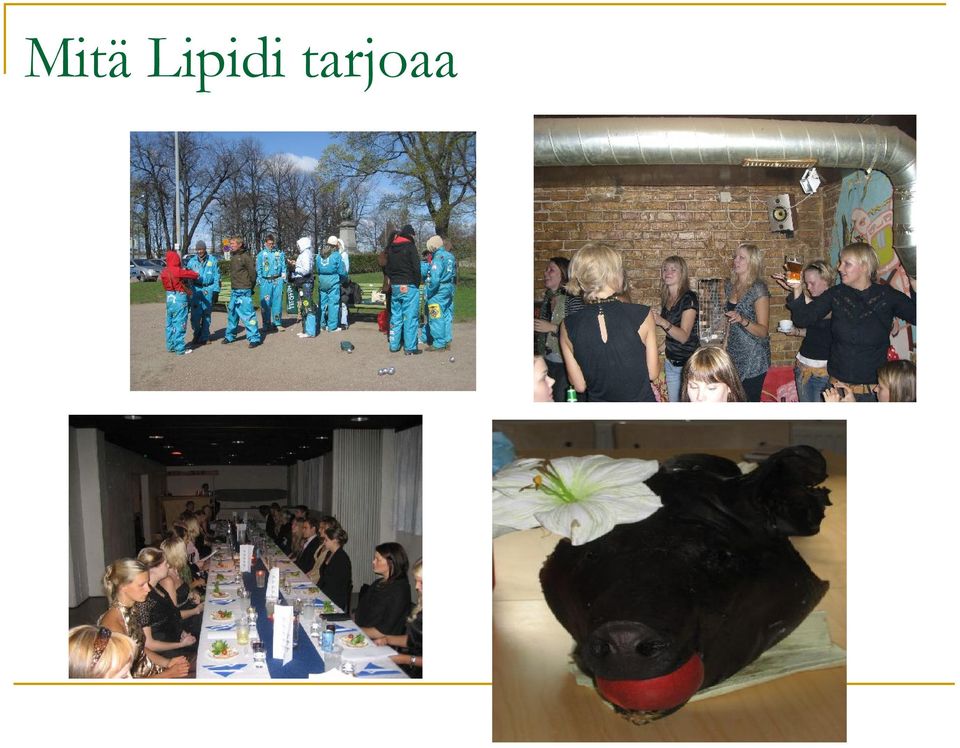 tarjoaa