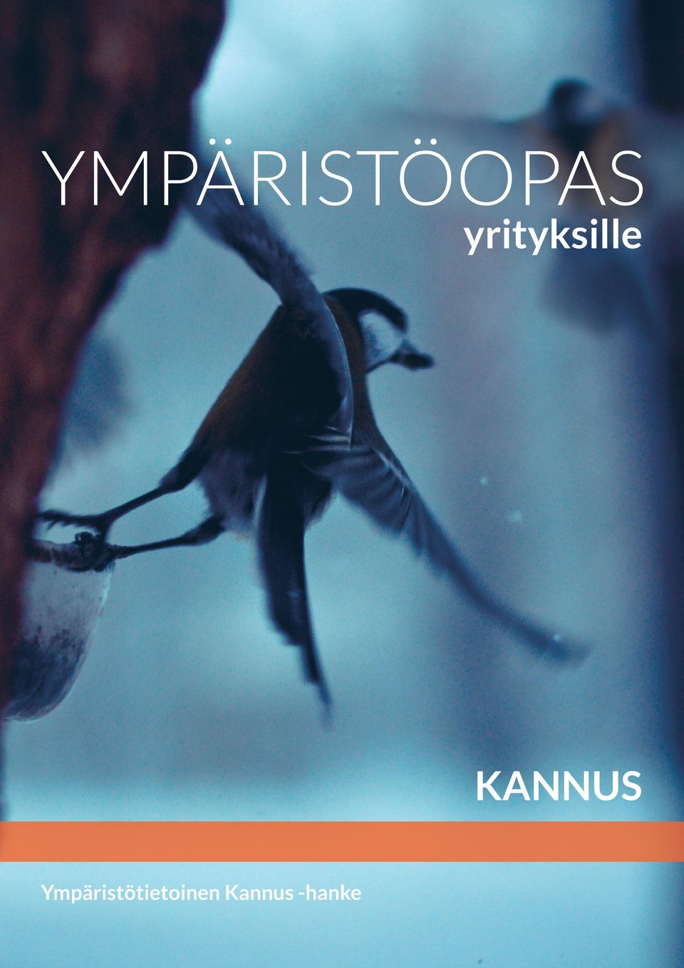 yrityksille KANNUS