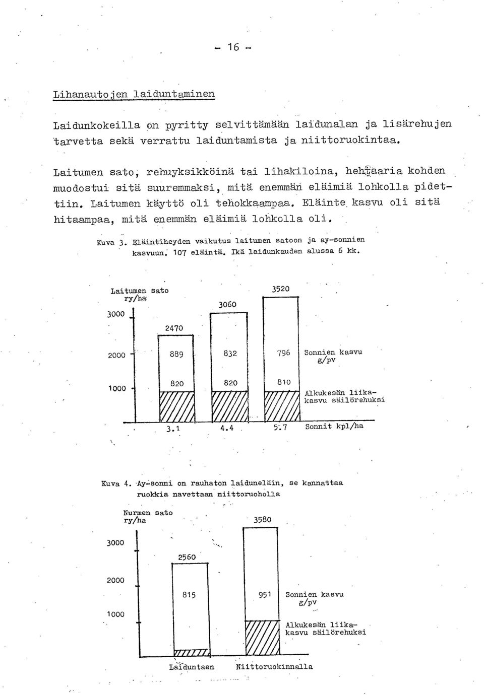 kasvu oli sitä hitaampaa, mitä enemmän eläimiä lohkolla oli. Kuva 3. Rläintiheyden vaikutus laitumen satoon ja ay-sonnien kasvuun,: 107 eläintä. Ikä laidunkauden alussa 6 kk.