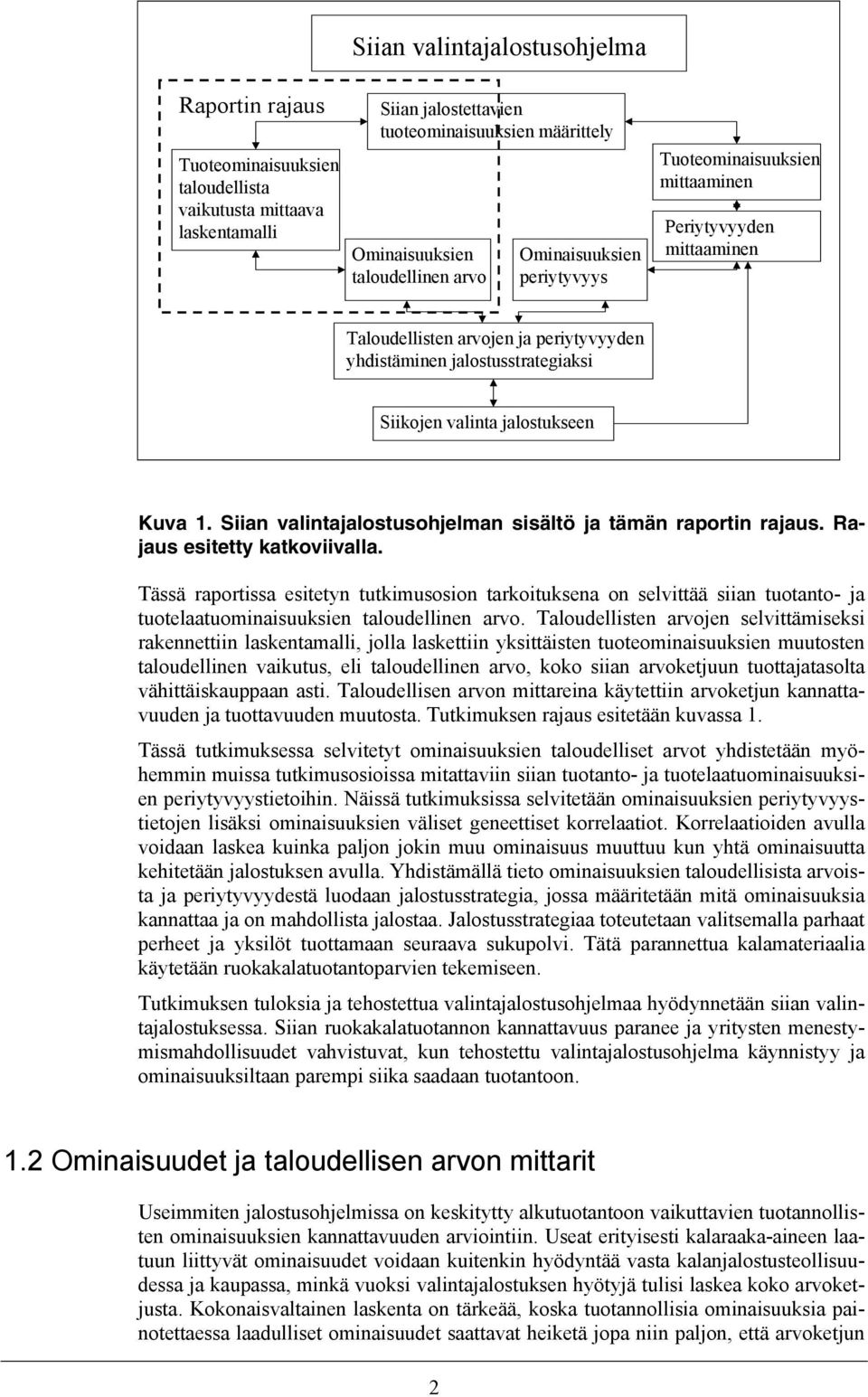 Siian valintajalostusohjelman sisältö ja tämän raportin rajaus. Rajaus esitetty katkoviivalla.