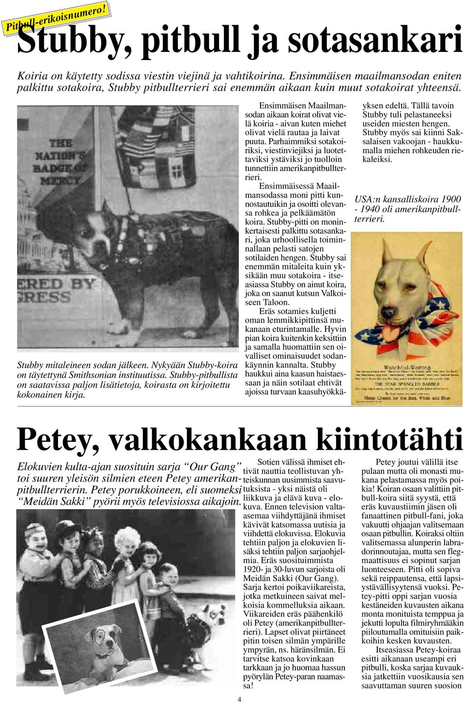 Nykyään Stubby-koira on täytettynä Smithsonian instituutissa. Stubby-pitbullista on saatavissa paljon lisätietoja, koirasta on kirjoitettu kokonainen kirja.