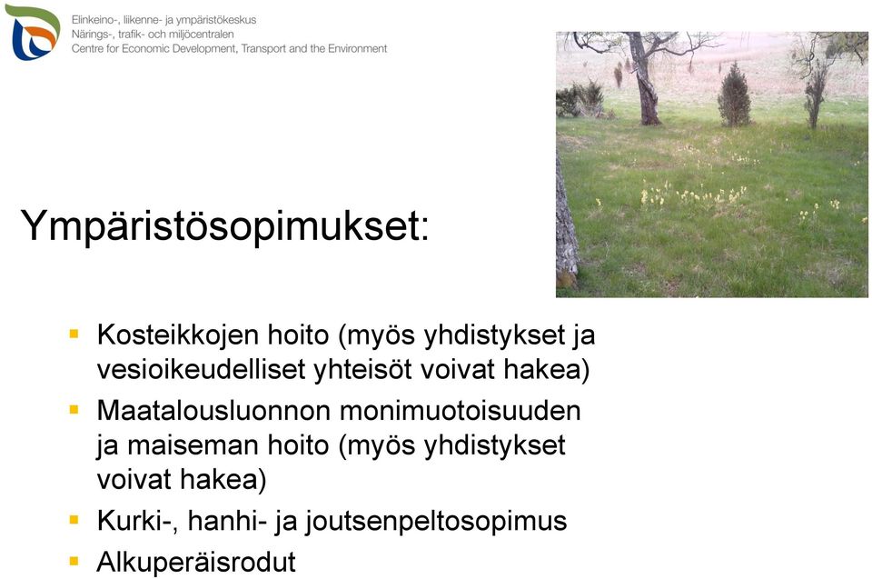 Maatalousluonnon monimuotoisuuden ja maiseman hoito (myös