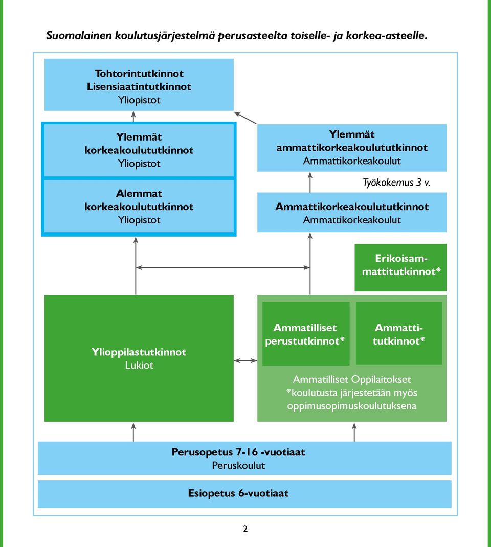 ammattikorkeakoulututkinnot Ammattikorkeakoulut Työkokemus 3 v.