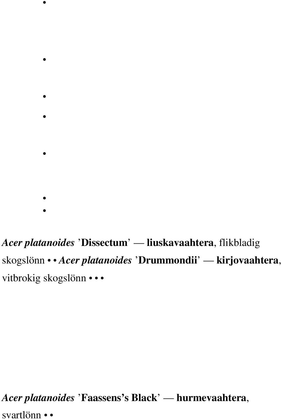 Drummondii kirjovaahtera, vitbrokig skogslönn