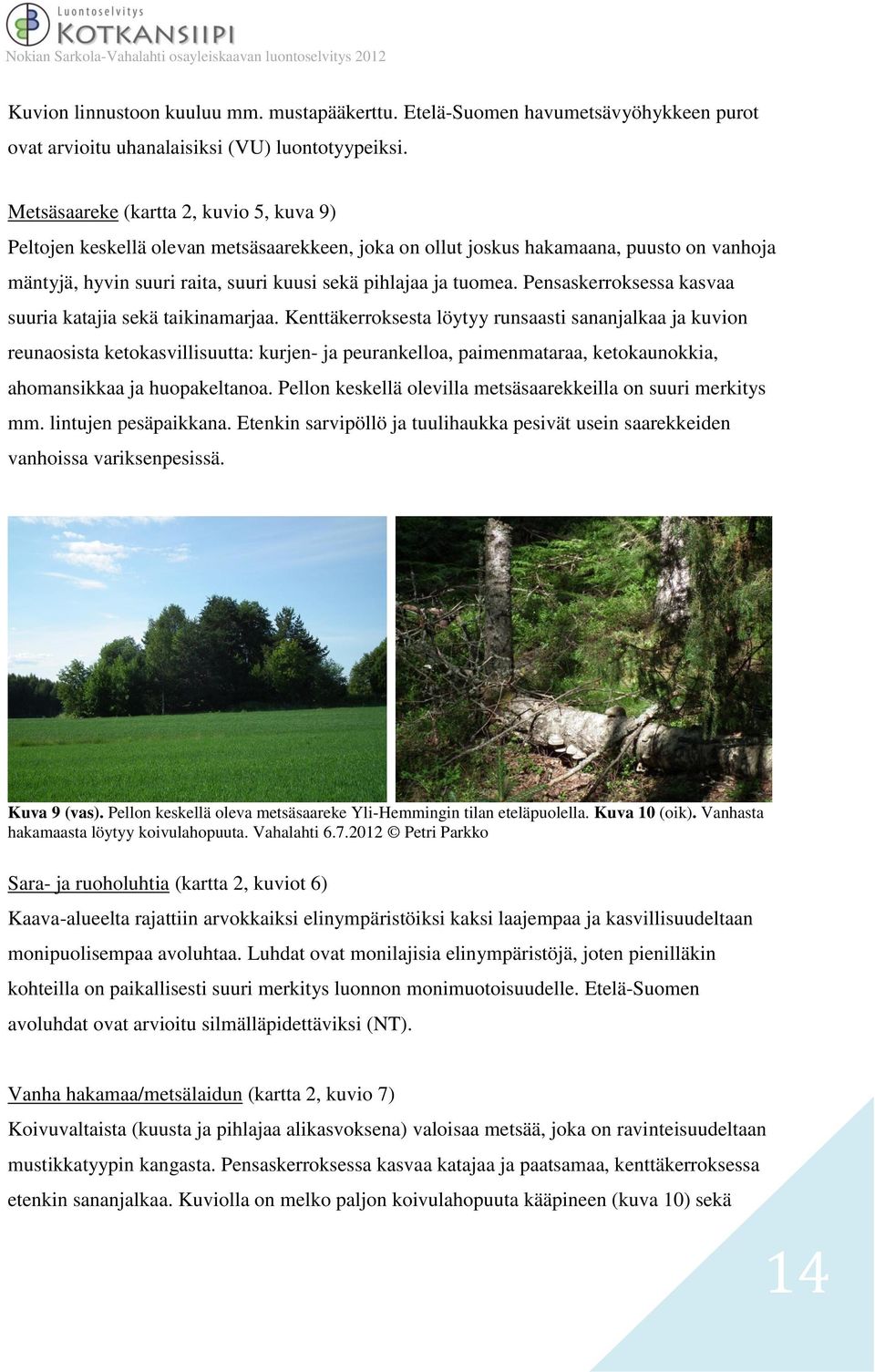 Pensaskerroksessa kasvaa suuria katajia sekä taikinamarjaa.