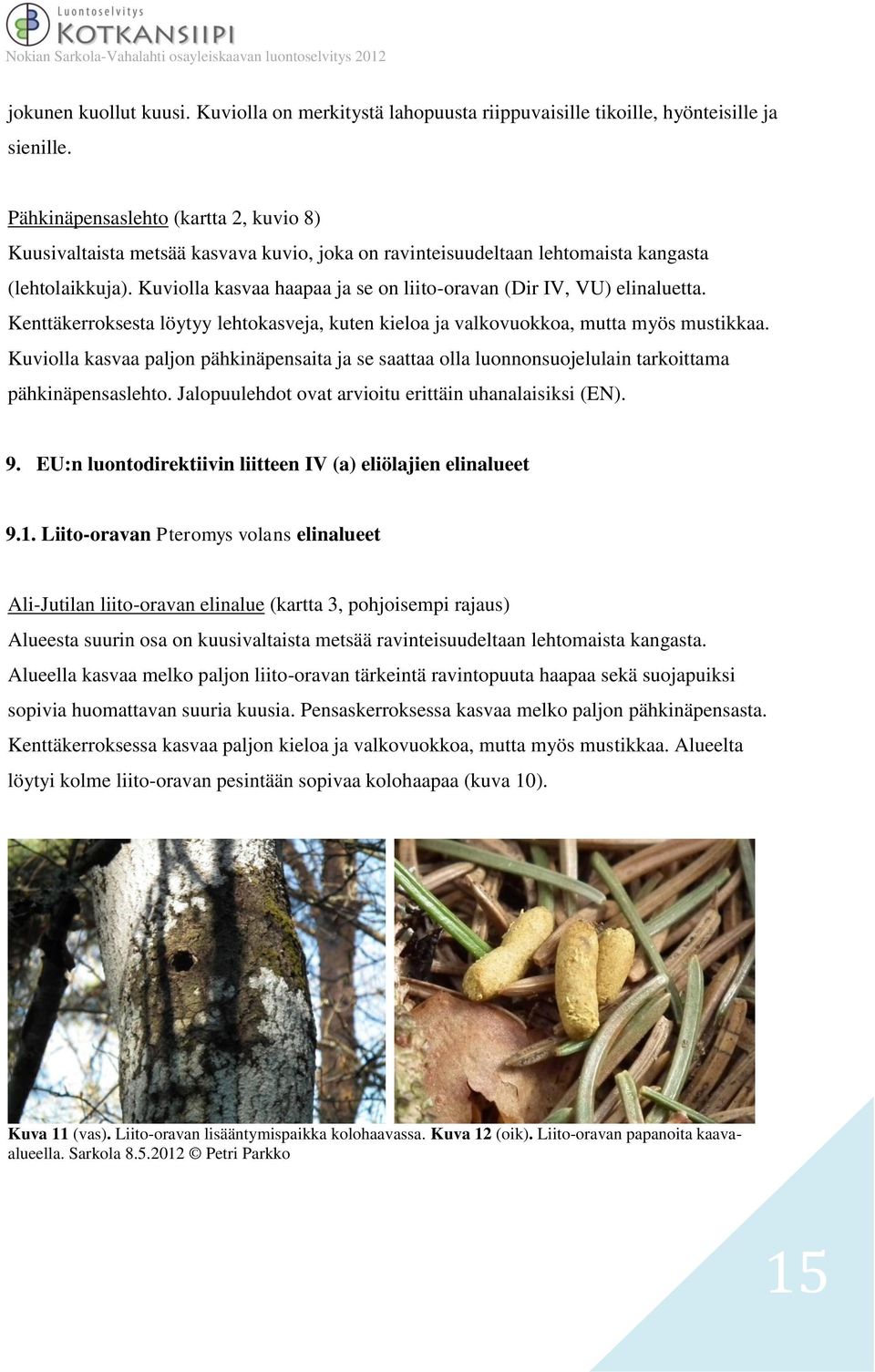 Kuviolla kasvaa haapaa ja se on liito-oravan (Dir IV, VU) elinaluetta. Kenttäkerroksesta löytyy lehtokasveja, kuten kieloa ja valkovuokkoa, mutta myös mustikkaa.