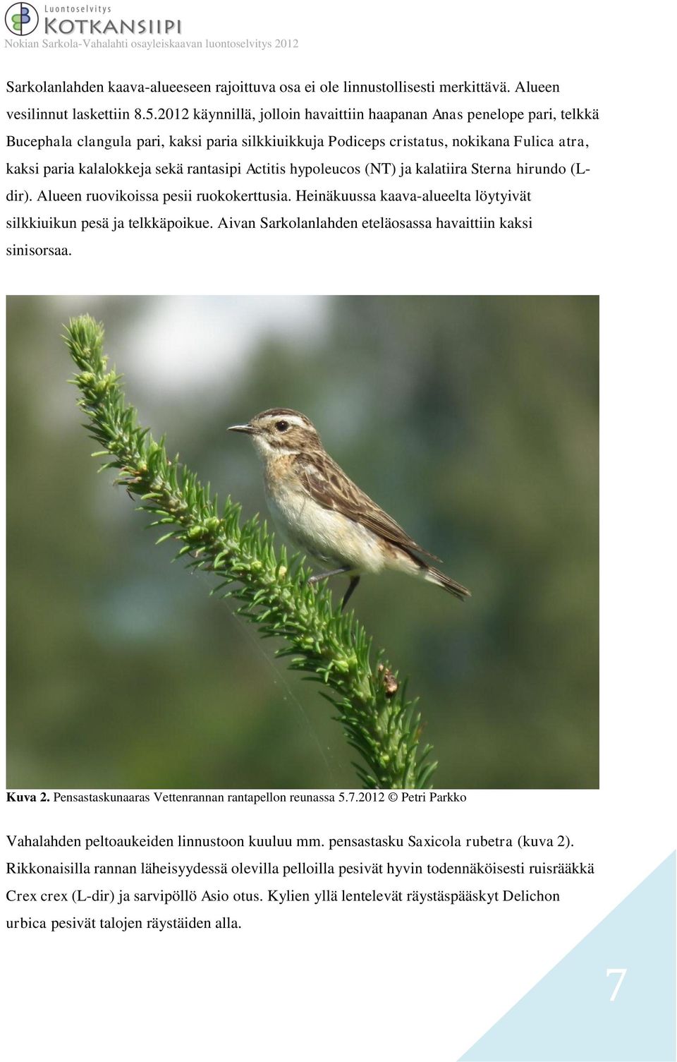 rantasipi Actitis hypoleucos (NT) ja kalatiira Sterna hirundo (Ldir). Alueen ruovikoissa pesii ruokokerttusia. Heinäkuussa kaava-alueelta löytyivät silkkiuikun pesä ja telkkäpoikue.