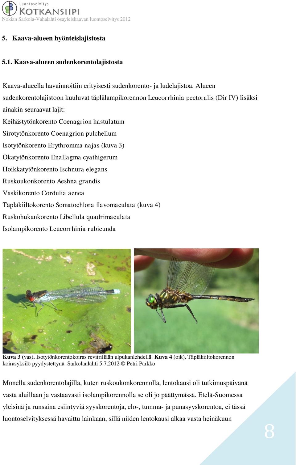 pulchellum Isotytönkorento Erythromma najas (kuva 3) Okatytönkorento Enallagma cyathigerum Hoikkatytönkorento Ischnura elegans Ruskoukonkorento Aeshna grandis Vaskikorento Cordulia aenea