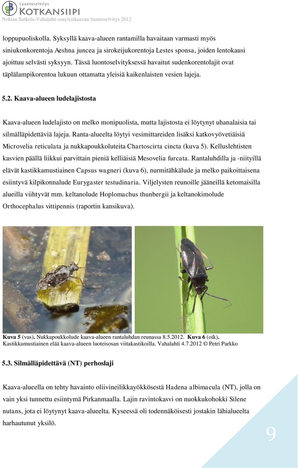 Kaava-alueen ludelajistosta Kaava-alueen ludelajisto on melko monipuolista, mutta lajistosta ei löytynyt uhanalaisia tai silmälläpidettäviä lajeja.