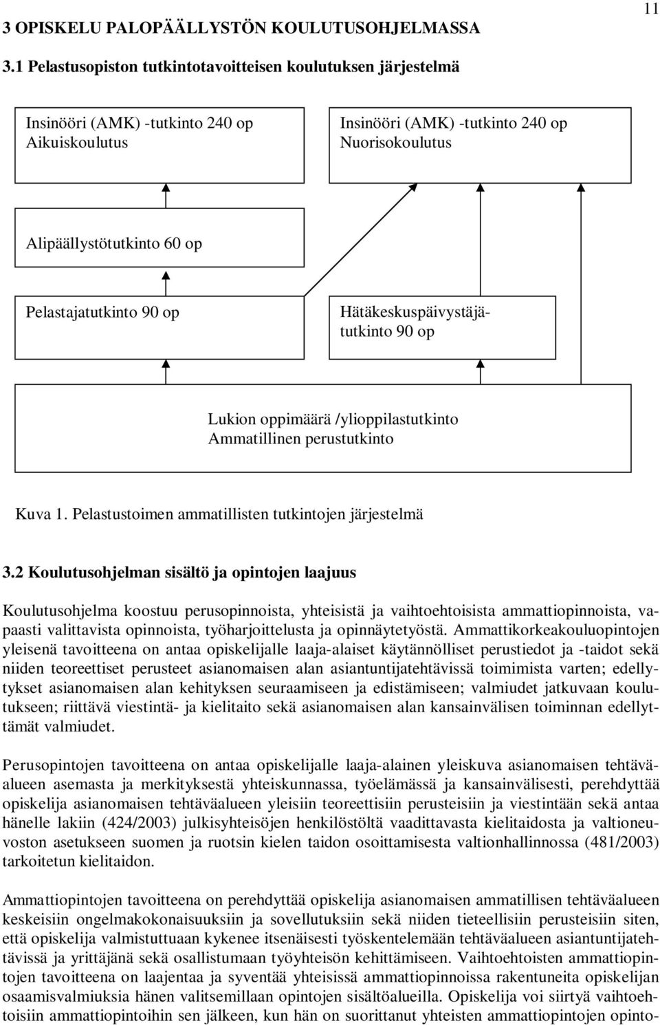 Pelastajatutkinto 90 op Ammattiopintojen tavoitteena on perehdyttää opiskelija asianomaisen ammatillisen tehtäväalueen keskeisiin ongelmakokonaisuuksiin ja sovellutuksiin sekä niiden tieteellisiin