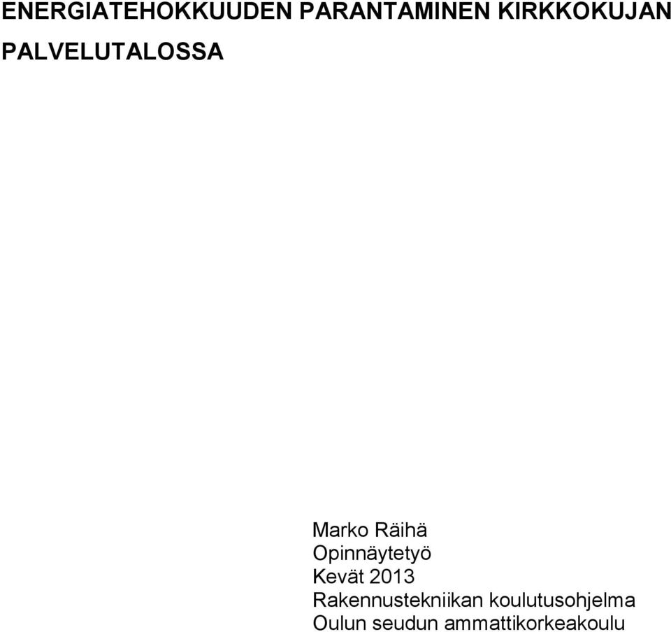 Opinnäytetyö Kevät 2013