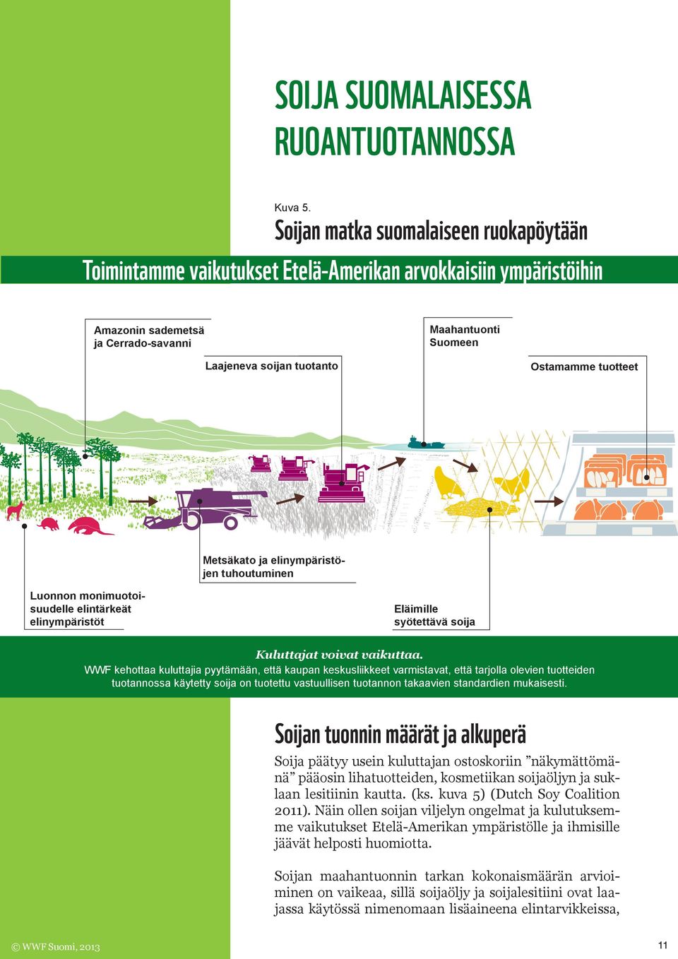 tuotteet Metsäkato ja elinympäristöjen tuhoutuminen Luonnon monimuotoisuudelle elintärkeät elinympäristöt Eläimille syötettävä soija Kuluttajat voivat vaikuttaa.