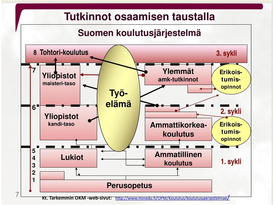 Erikoistumisopinnot Erikoistumisopinnot 2.