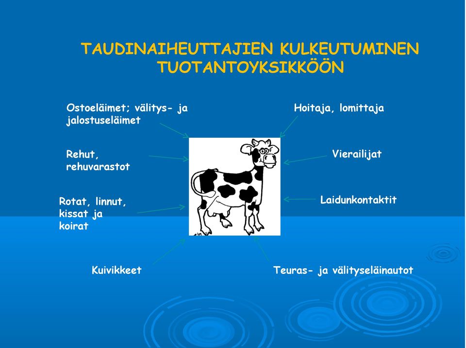 lomittaja Rehut, rehuvarastot Vierailijat Rotat, linnut,