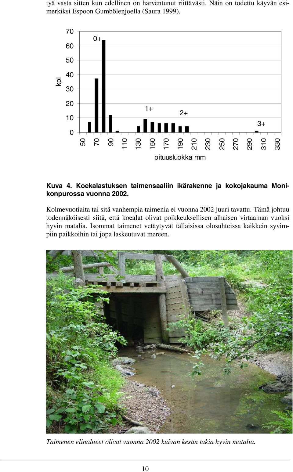 Koekalastuksen taimensaaliin ikärakenne ja kokojakauma Monikonpurossa vuonna 22. Kolmevuotiaita tai sitä vanhempia taimenia ei vuonna 22 juuri tavattu.