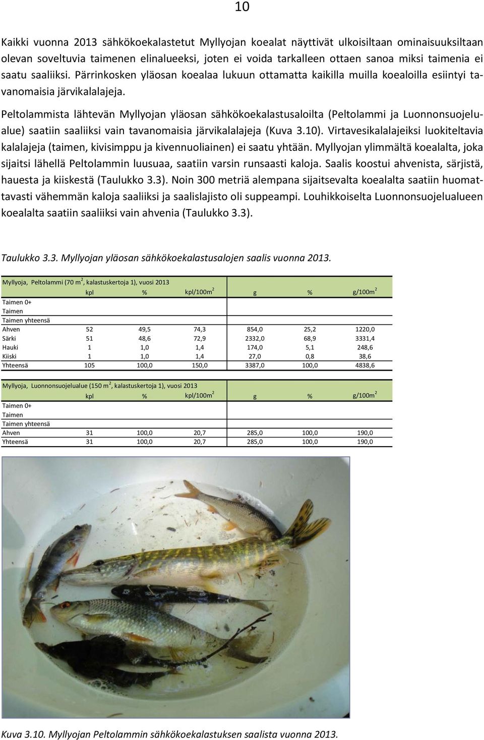 Peltolammista lähtevän Myllyojan yläosan sähkökoekalastusaloilta (Peltolammi ja Luonnonsuojelualue) saatiin saaliiksi vain tavanomaisia järvikalalajeja (Kuva 3.10).