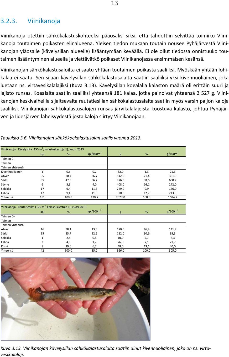 Ei ole ollut tiedossa onnistuuko toutaimen lisääntyminen alueella ja viettävätkö poikaset Viinikanojassa ensimmäisen kesänsä.