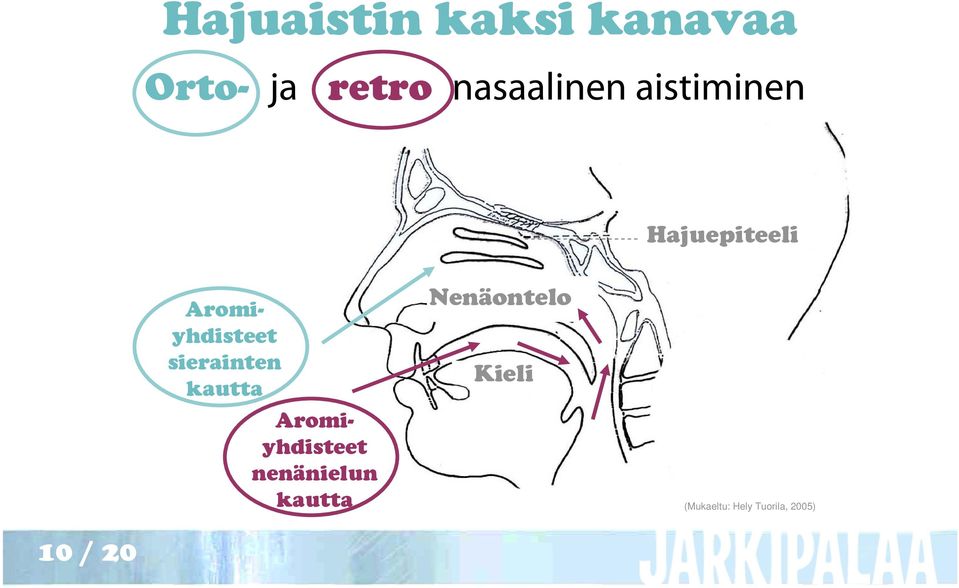 Aromiyhdisteet sierainten kautta Aromiyhdisteet