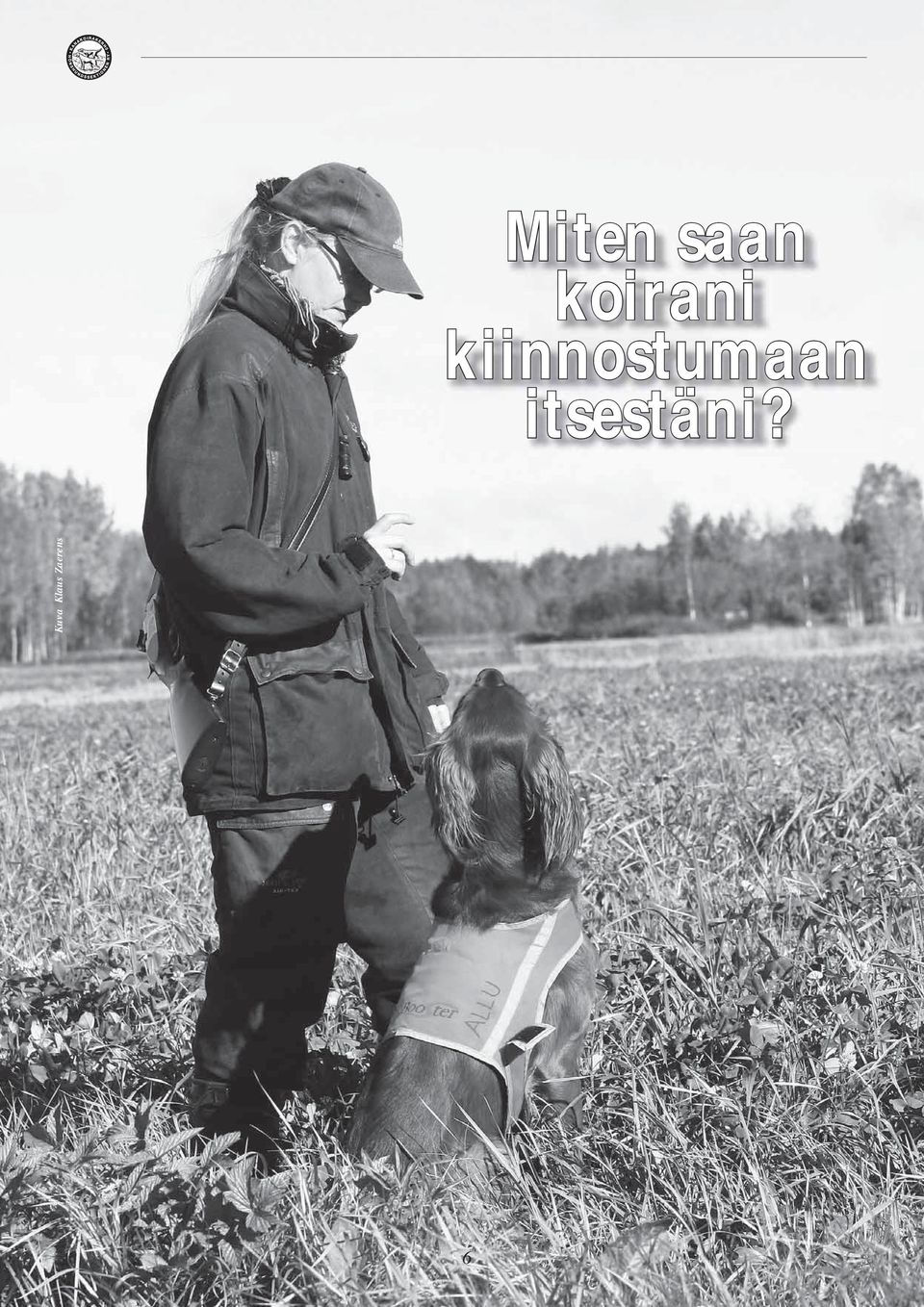 kiinnostumaan