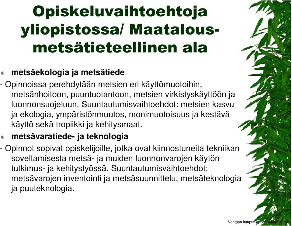 Suuntautumisvaihtoehdot: metsien kasvu ja ekologia, ympäristönmuutos, monimuotoisuus ja kestävä käyttö sekä tropiikki ja kehitysmaat.