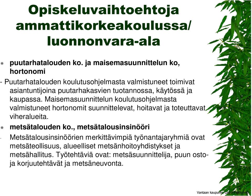 käytössä ja kaupassa. Maisemasuunnittelun koulutusohjelmasta valmistuneet hortonomit suunnittelevat, hoitavat ja toteuttavat viheralueita.