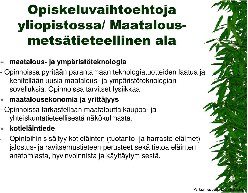 maatalousekonomia ja yrittäjyys - Opinnoissa tarkastellaan maataloutta kauppa- ja yhteiskuntatieteellisestä näkökulmasta.