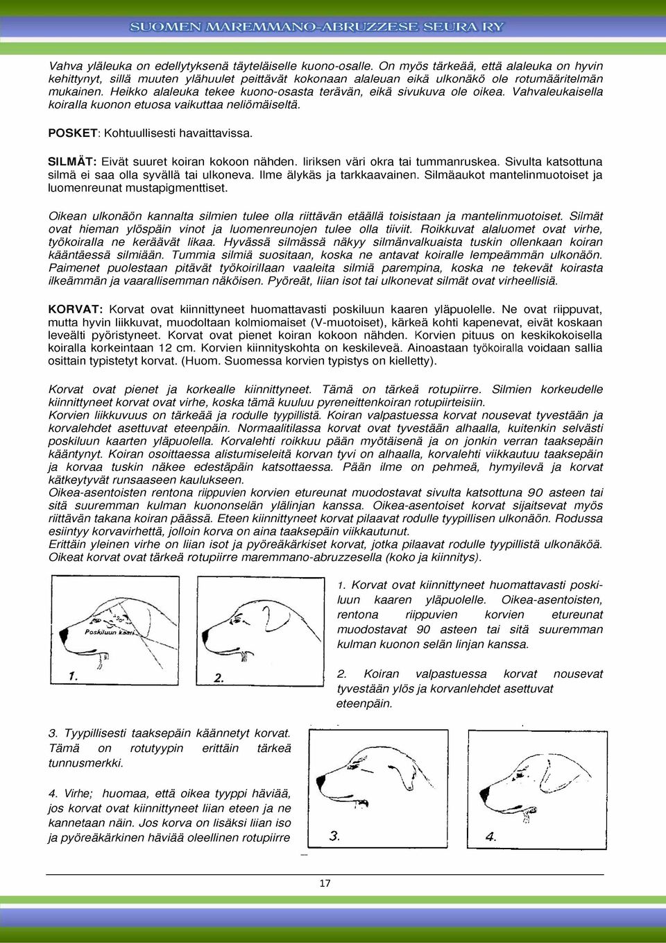 Heikko alaleuka tekee kuono-osasta terävän, eikä sivukuva ole oikea. Vahvaleukaisella koiralla kuonon etuosa vaikuttaa neliömäiseltä. POSKET: Kohtuullisesti havaittavissa.