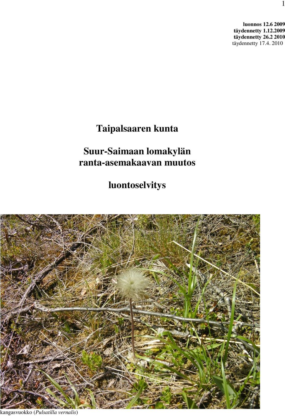 2010 Taipalsaaren kunta Suur-Saimaan lomakylän