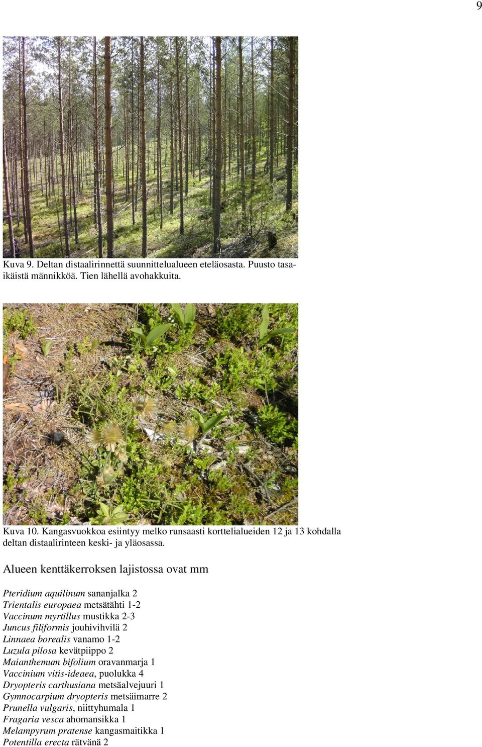 Alueen kenttäkerroksen lajistossa ovat mm Pteridium aquilinum sananjalka 2 Trientalis europaea metsätähti 1-2 Vaccinum myrtillus mustikka 2-3 Juncus filiformis jouhivihvilä 2 Linnaea