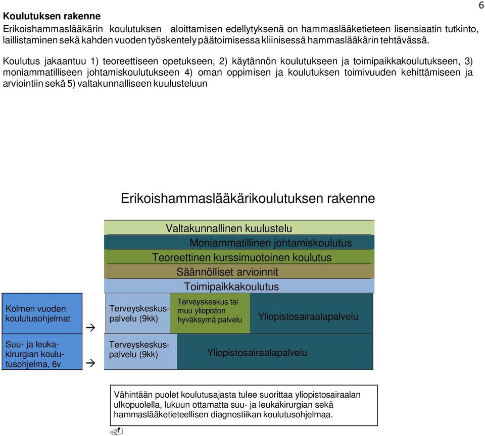 Koulutus jakaantuu 1) teoreettiseen opetukseen, 2) käytännön koulutukseen ja toimipaikkakoulutukseen, 3) moniammatilliseen johtamiskoulutukseen 4) oman oppimisen ja koulutuksen toimivuuden