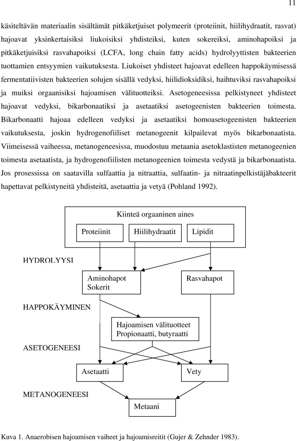 Liukoiset yhdisteet hajoavat edelleen happokäymisessä fermentatiivisten bakteerien solujen sisällä vedyksi, hiilidioksidiksi, haihtuviksi rasvahapoiksi ja muiksi orgaanisiksi hajoamisen