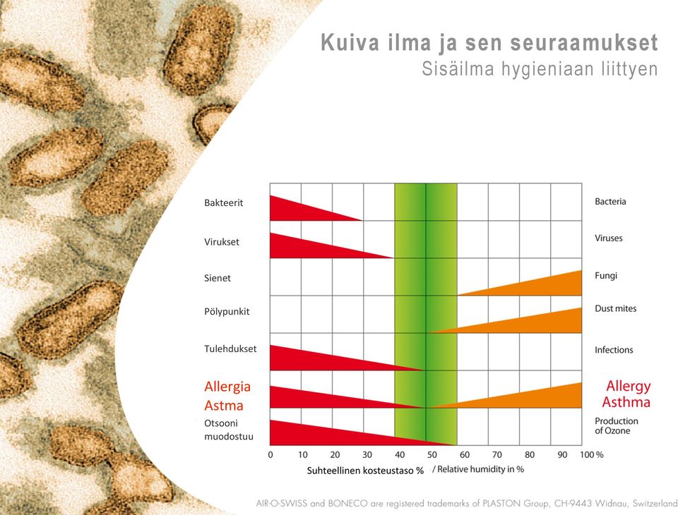 Sienet Pölypunkit Tulehdukset Allergia