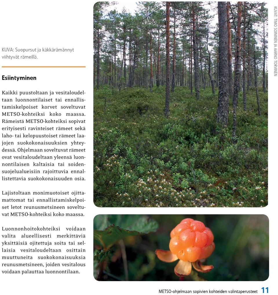 Rämeistä METSO-kohteiksi sopivat erityisesti ravinteiset rämeet sekä laho- tai kelopuustoiset rämeet laajojen suokokonaisuuksien yhteydessä.