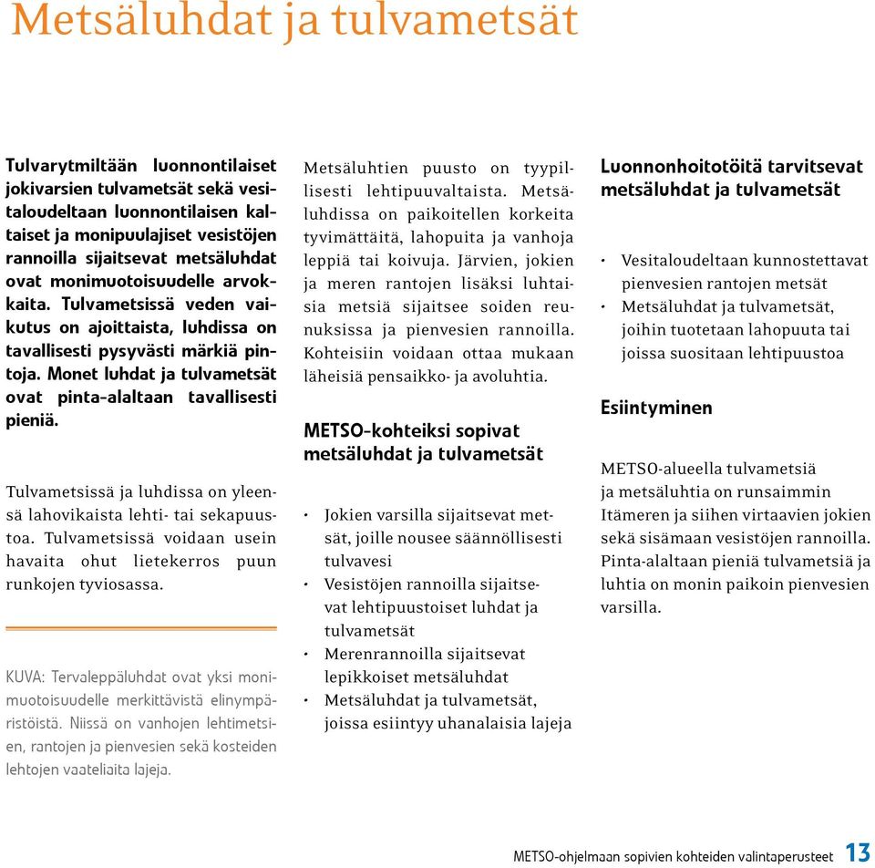 Tulvametsissä ja luhdissa on yleensä lahovikaista lehti- tai sekapuustoa. Tulvametsissä voidaan usein havaita ohut lietekerros puun runkojen tyviosassa.