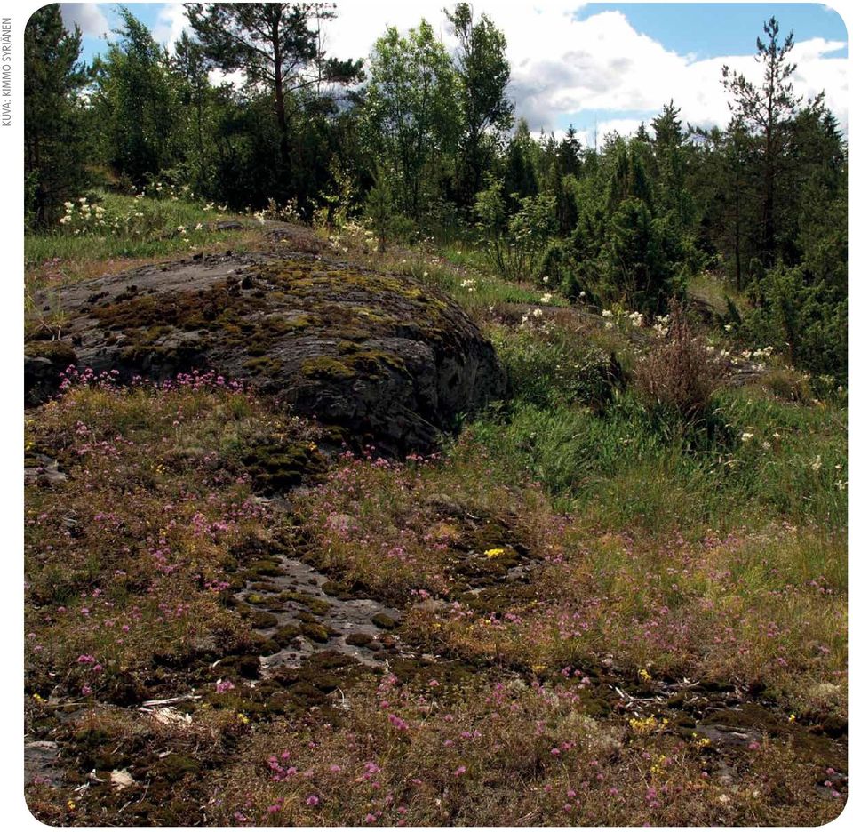 SYRJÄNEN