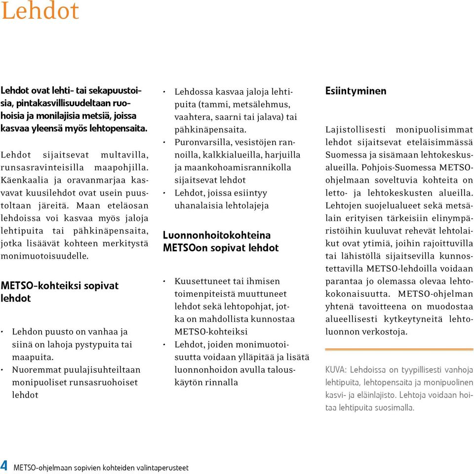 Maan eteläosan lehdoissa voi kasvaa myös jaloja lehtipuita tai pähkinäpensaita, jotka lisäävät kohteen merkitystä monimuotoisuudelle.