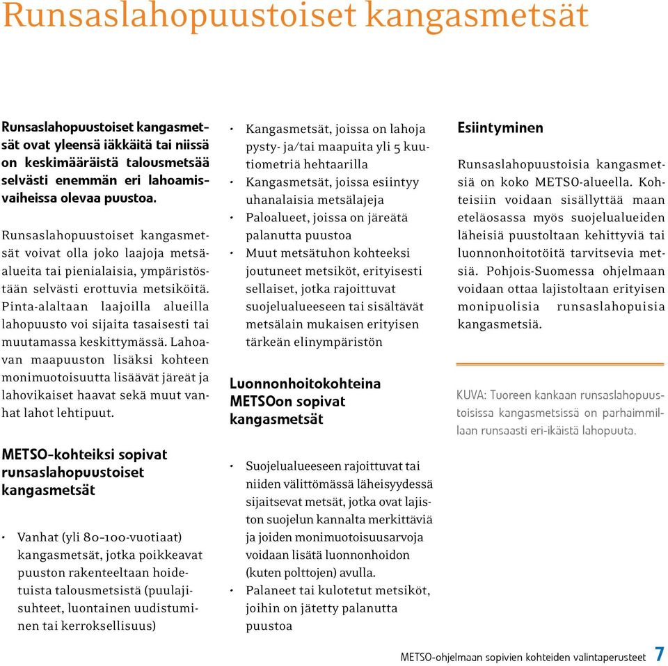 Pinta-alaltaan laajoilla alueilla lahopuusto voi sijaita tasaisesti tai muutamassa keskittymässä.