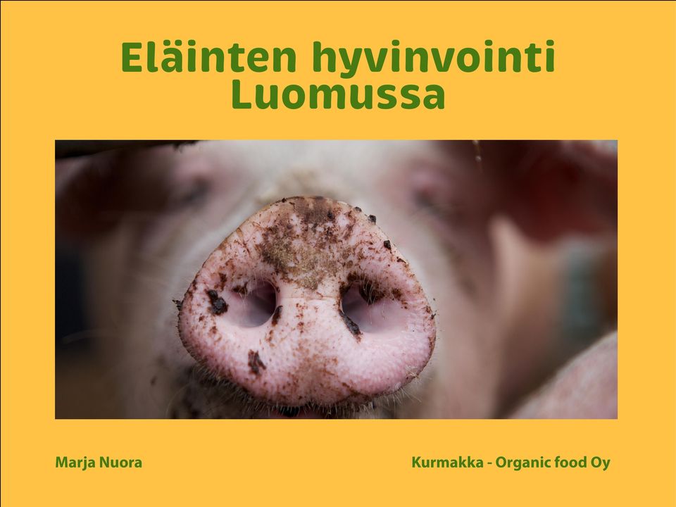 Kurmakka - Organic food