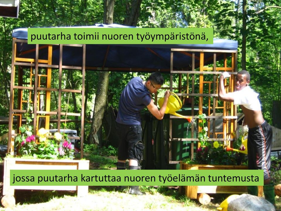 puutarha kartuttaa