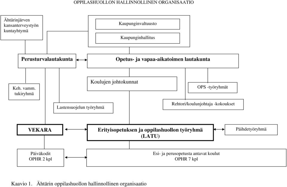 tukiryhmä Lastensuojelun työryhmä Koulujen johtokunnat OPS -työryhmät Rehtori/koulunjohtaja -kokoukset VEKARA