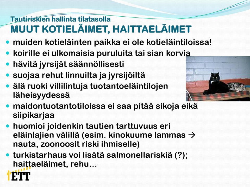 ruoki villilintuja tuotantoeläintilojen läheisyydessä maidontuotantotiloissa ei saa pitää sikoja eikä siipikarjaa huomioi