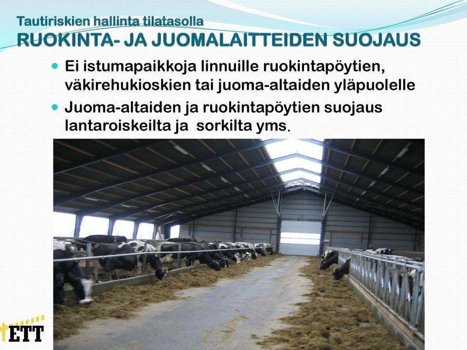 väkirehukioskien tai juoma-altaiden yläpuolelle