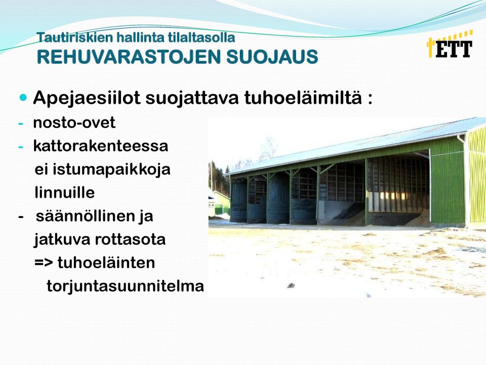 kattorakenteessa ei istumapaikkoja linnuille -