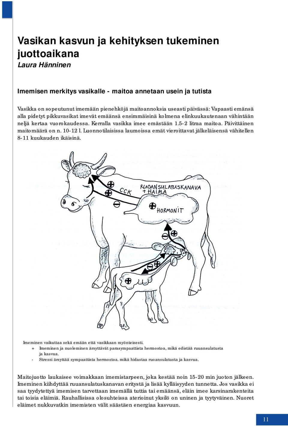 Päivittäinen maitomäärä on n. 10-12 l. Luonnotilaisissa laumoissa emät vieroittavat jälkeläisensä vähitellen 8-11 kuukauden ikäisinä. Imeminen vaikuttaa sekä emään että vasikkaan myönteisesti.