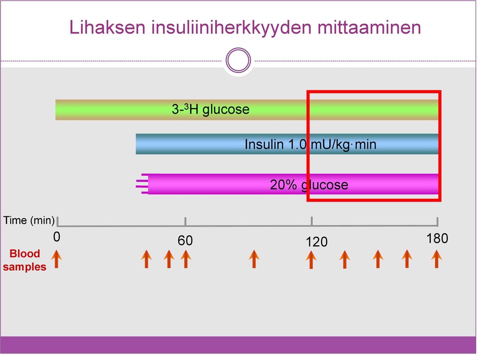 Insulin 1.