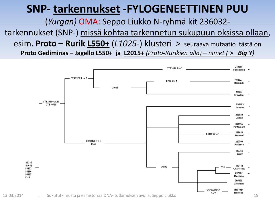 Proto Rurik L550+ (L1025-) klusteri > seuraava mutaatio tästä on Proto Gediminas Jagello L550+