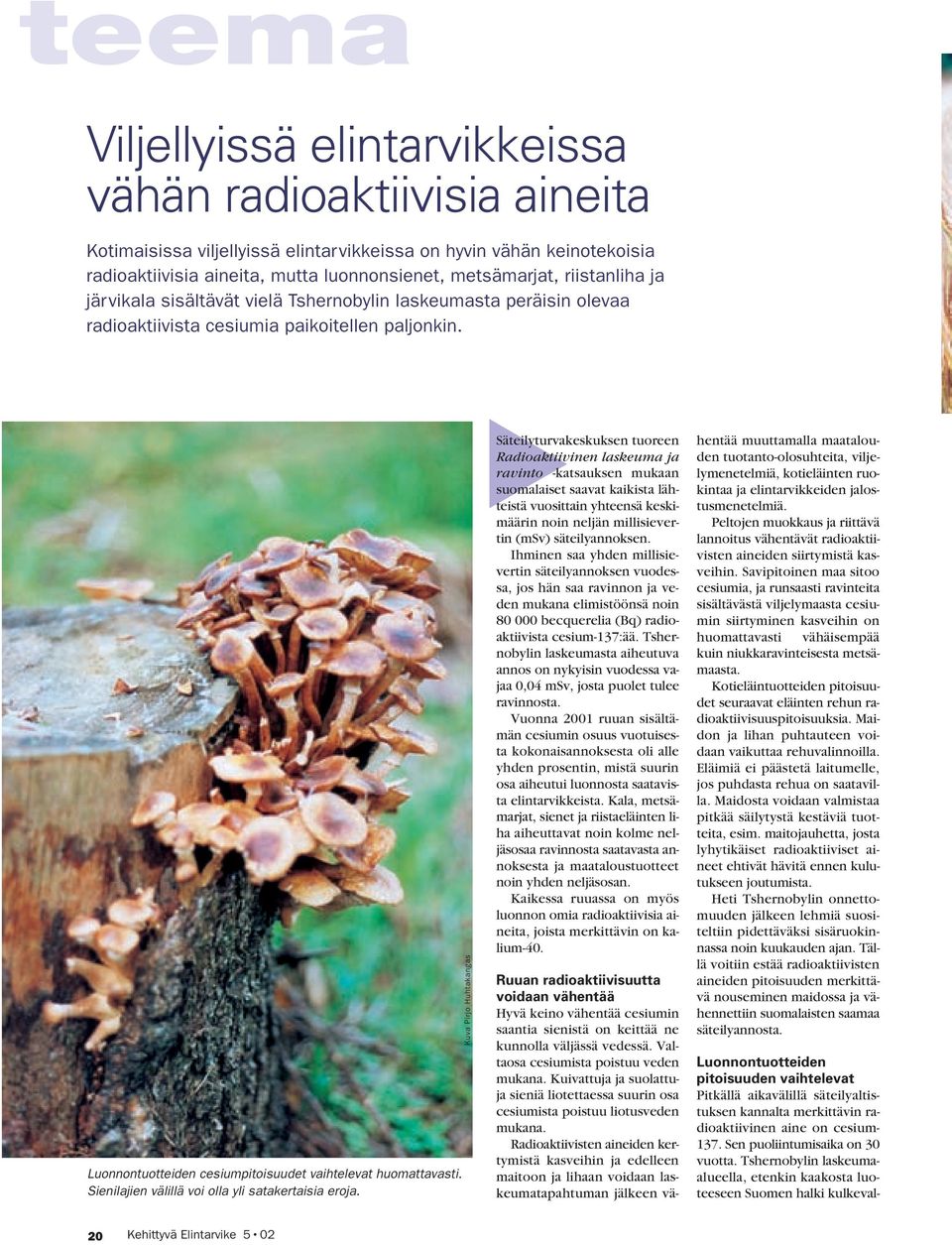 vähän keinotekoisia radioaktiivisia aineita, mutta luonnonsienet, metsämarjat, riistanliha ja järvikala sisältävät vielä Tshernobylin laskeumasta peräisin olevaa radioaktiivista cesiumia paikoitellen