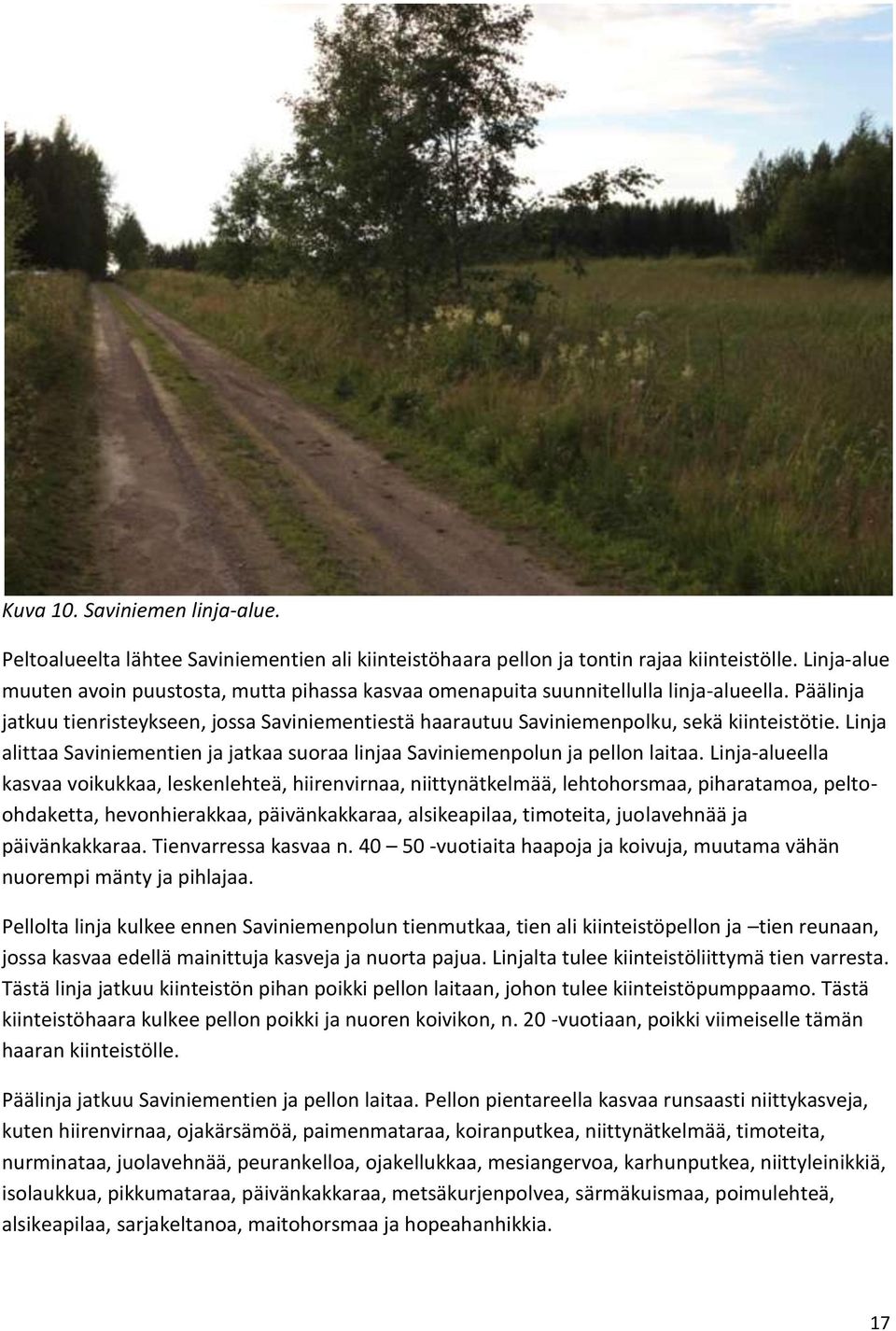 Linja alittaa Saviniementien ja jatkaa suoraa linjaa Saviniemenpolun ja pellon laitaa.