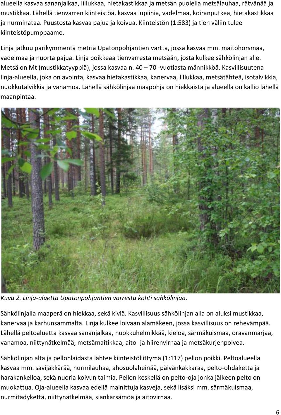 Linja jatkuu parikymmentä metriä Upatonpohjantien vartta, jossa kasvaa mm. maitohorsmaa, vadelmaa ja nuorta pajua. Linja poikkeaa tienvarresta metsään, josta kulkee sähkölinjan alle.