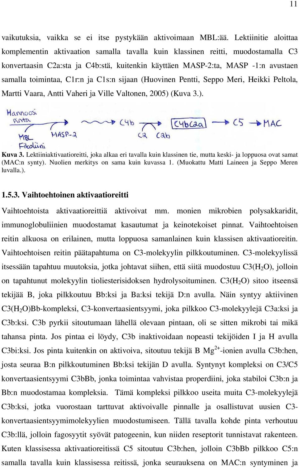 toimintaa, C1r:n ja C1s:n sijaan (Huovinen Pentti, Seppo Meri, Heikki Peltola, Martti Vaara, Antti Vaheri ja Ville Valtonen, 2005) (Kuva 3.). Kuva 3.